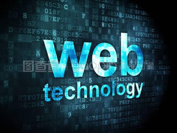 數(shù)字背景下的SEO網(wǎng)絡開發(fā) 技術與策略解析